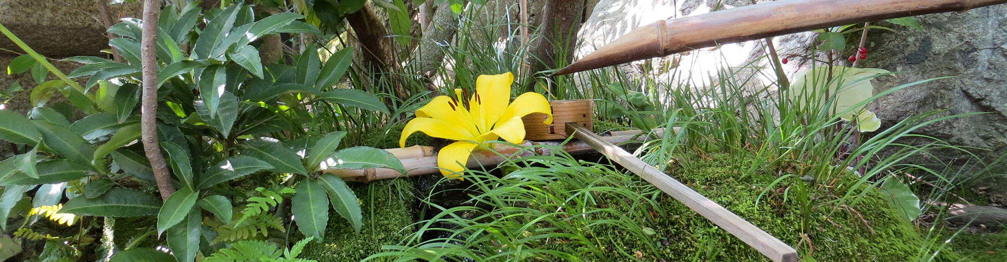 Programme MBSR Atelier découverte zen fontaine japonaise bambou fleur Méditation Mindfulness
